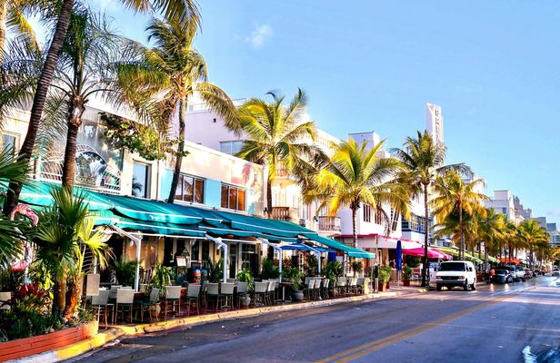 Hop-on hop-off sightseeing tour 24-hour pass