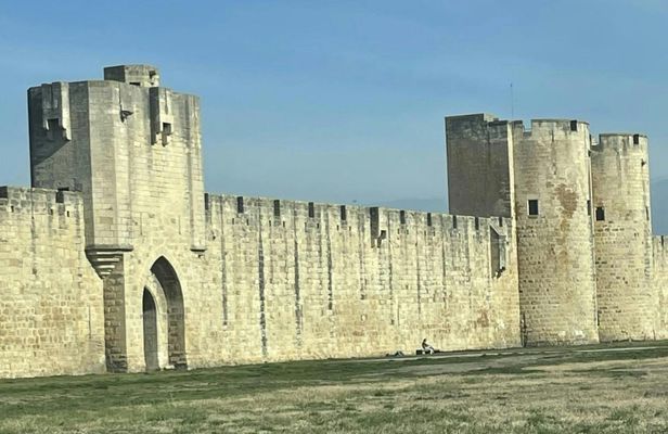 Sable de Camargue full-day minibus tour with lunch and tastings