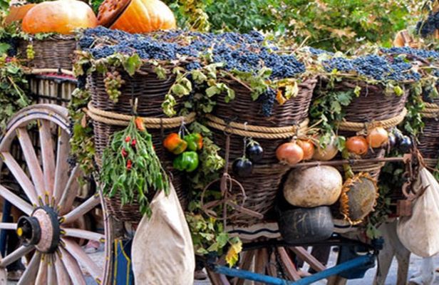 Commandaria wine full-day culinary tour from Limassol