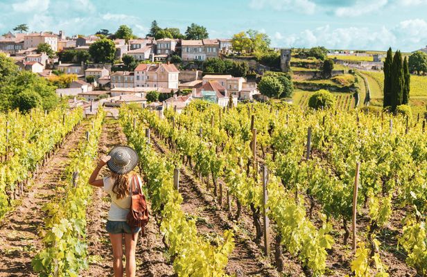 Saint-Émilion and Pomerol wine tour