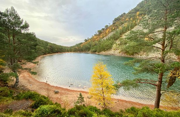 Guided walking tour through Cairngorms from Edimburgh