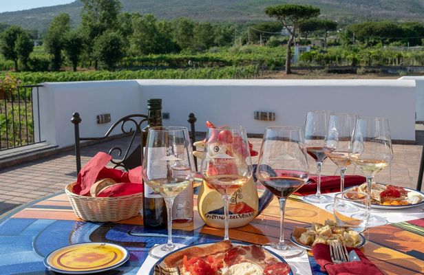Vesuvius vineyards tour with wine tasting and local lunch