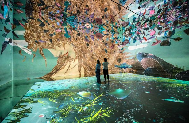 "Frameless" Immersive Art Experience entrance tickets