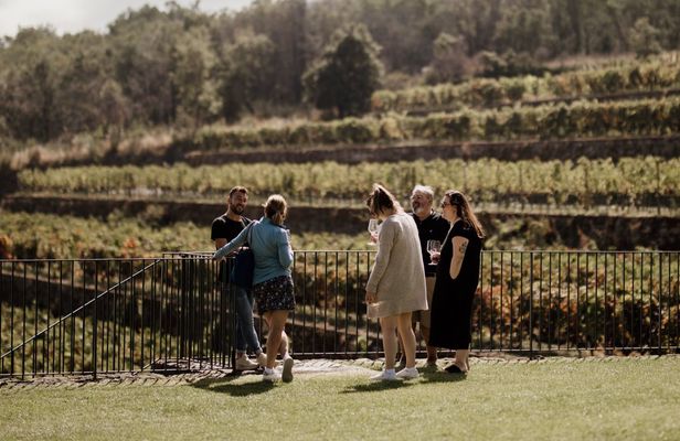 Wine experience in the northeast of Etna