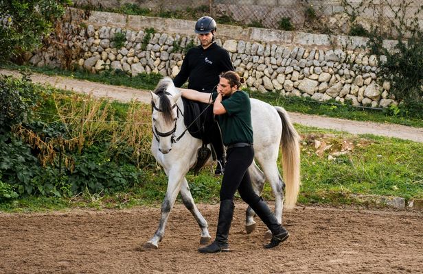Advanced classical riding lesson with PRE Horses in Mallorca