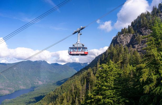 Grouse Mountain Admission Ticket