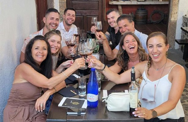 Santorini semi-private day wine tour with two wineries