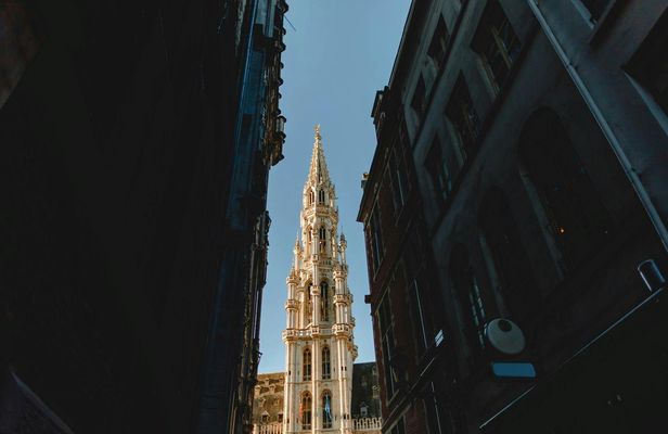 Banksy Museum admission and Brussels' highlights audio tour