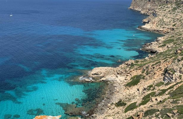 Cabo Blanco discovery tour