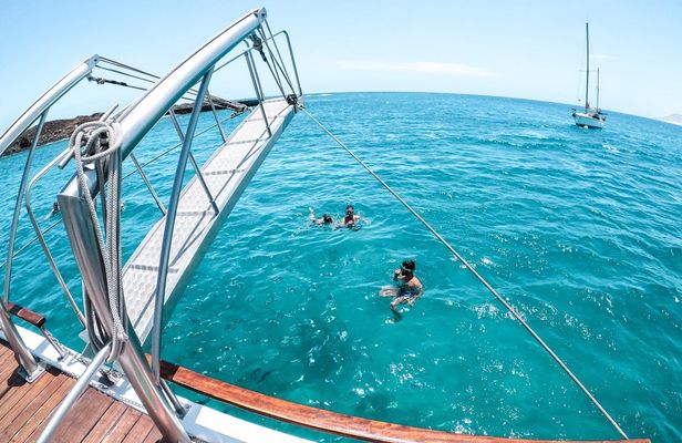 Lobos island ferry and snorkeling experience from Corralejo