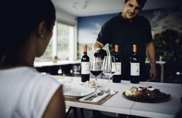 Tour and wine tasting at a family-run organic winery in Tuscany