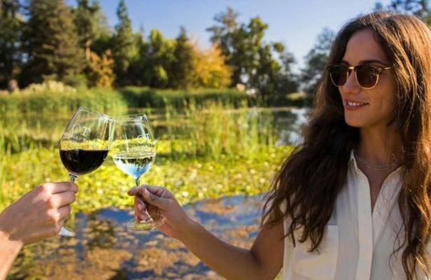 Premium winery tour from Santiago with wine tasting