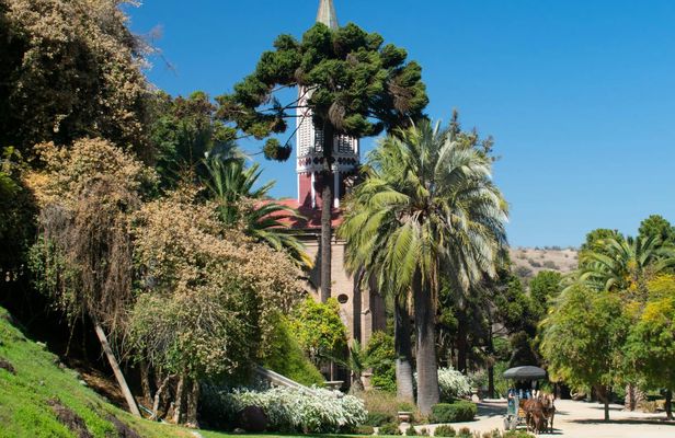 Maipo Valley and Santa Rita garden wine tasting tour from Santiago