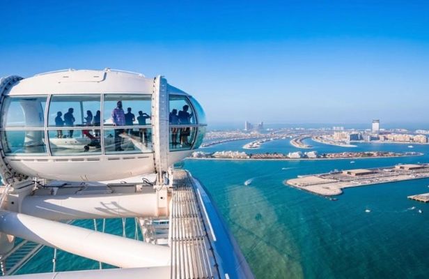 The Green Planet and Ain Dubai combo ticket