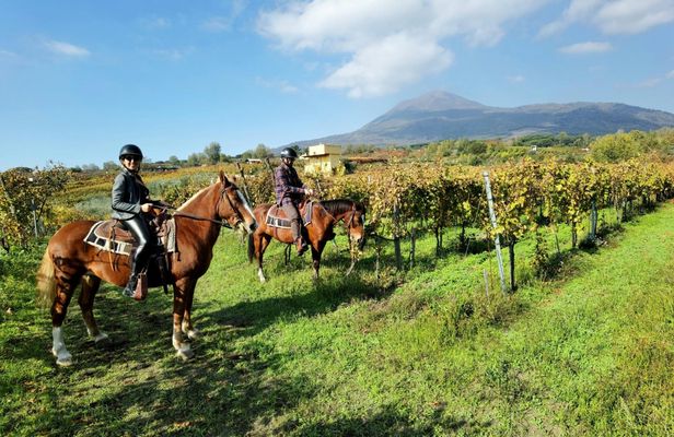 Mount Vesuvius horseback riding adventure