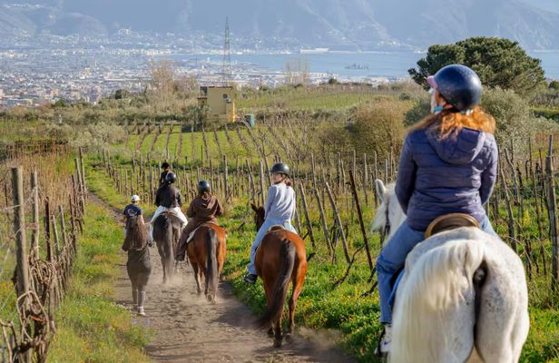 Mount Vesuvius horse riding with wine tasting and lunch