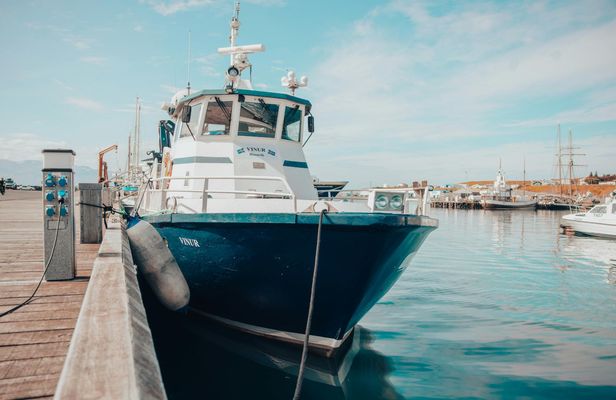 Húsavík whale watching tour in Skjálfandi Bay