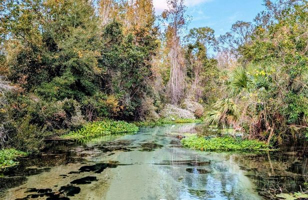 Rock Springs river tubing and Apopka Wildlife Trail with hotel pickup
