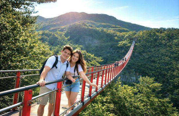 DMZ and Mt. Gamaksan Red Suspension Bridge Tour from Seoul
