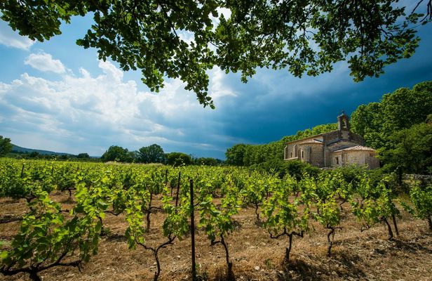 Gaillac small group wine tour with tastings from Toulouse