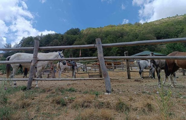 Mavrovo National Park and Bigorski Monastery tour from Ohrid