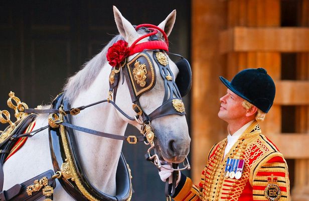 Royal Mews entry ticket with historic coaches and carriages