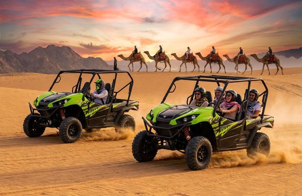 Buggy car sunset with barbecue and camel ride in Marsa Alam