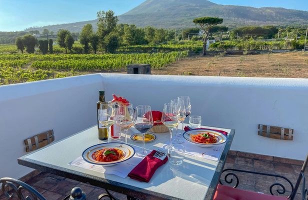 Organic volcanic wine tasting with lunch on Mt. Vesuvius