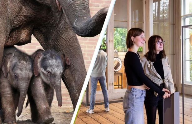 ARTIS Amsterdam Royal Zoo and ARTIS-Groote Museum Entrance Ticket