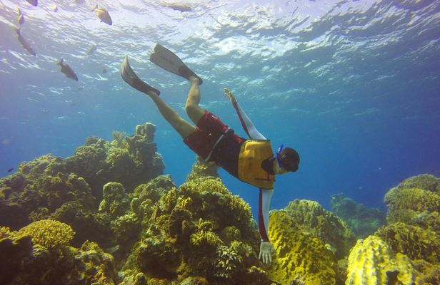 Clear boat ride and snorkel in Cozumel