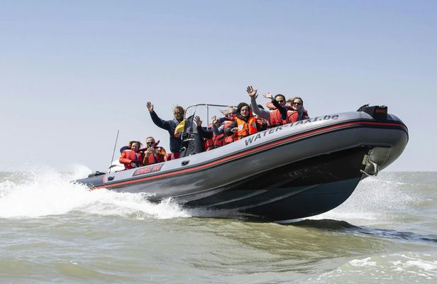 Unique skyline cruise