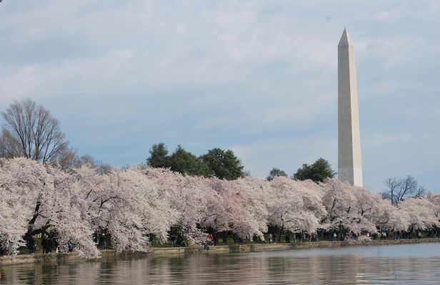 Washington Monument skip-the-line tickets and guidebook