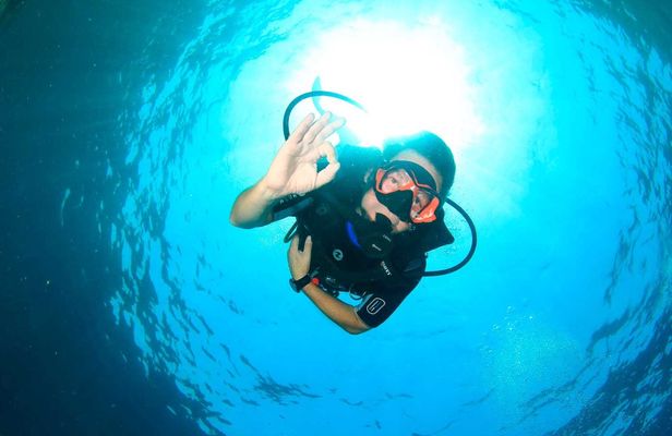 Scuba programme first-time diving experience in the Bay of Pollenca