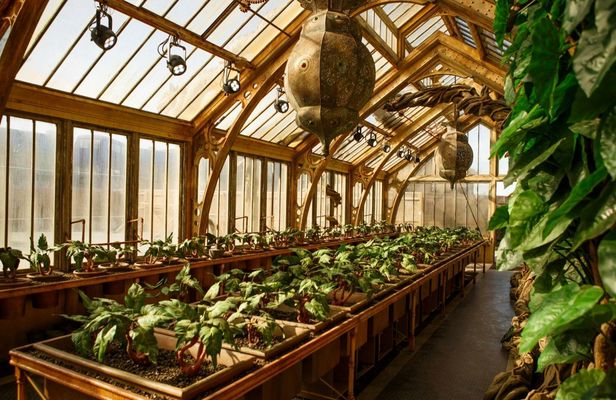 Warner Bros Studio, Harry Potter tickets from Paddington Station