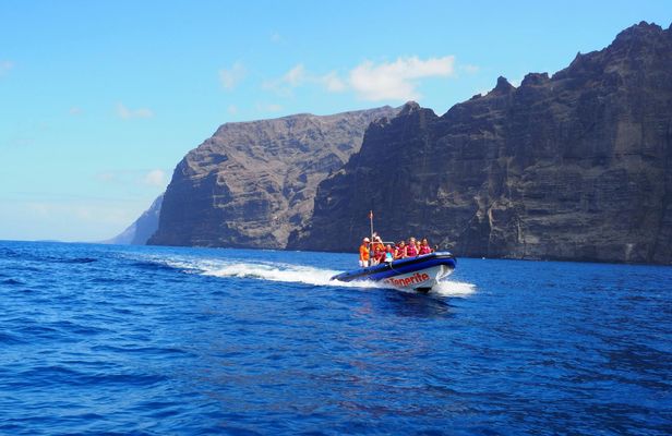 Small-group boat tour along the Cliffs of Los Gigantes to Punta Teno