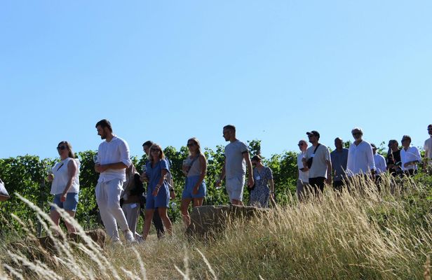 Private Stuttgart wine walk with games and regional tastings