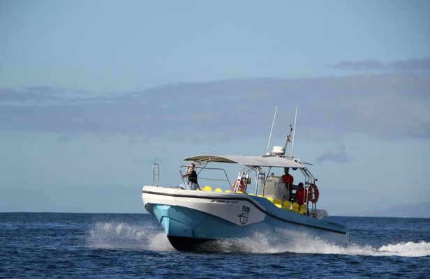 Whale-watching excursion in La Gomera with vintage boat tour