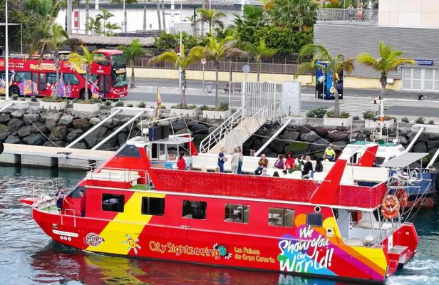 Las Palmas boat tour