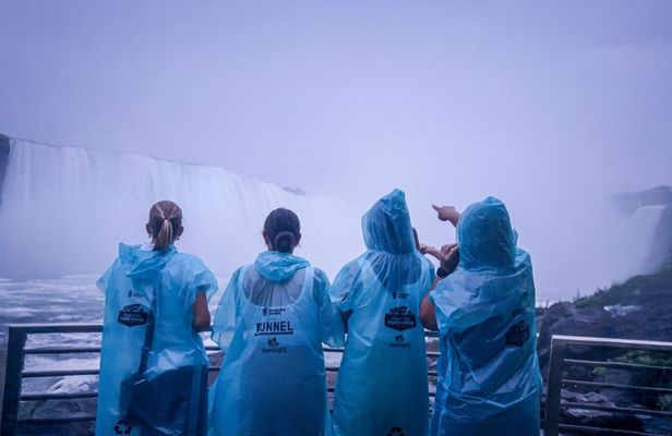 Niagara Canada night tour with power station access and dinner