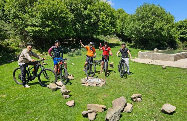 E-bike tour through Madonie Park with olive oil tasting