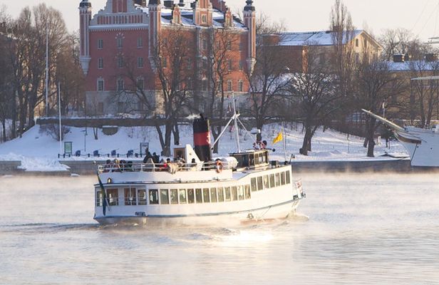 Stockholm Archipelago Winter Boat Tour with Guide