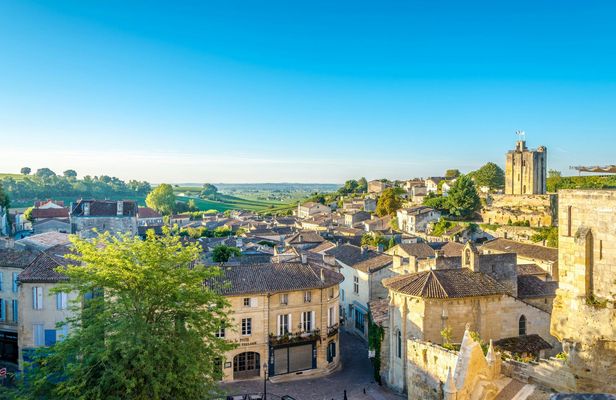 Saint-Emilion vineyards e-bike tour and wine tasting
