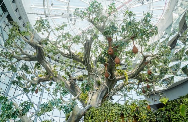 The Green Planet general admission and F&B meal