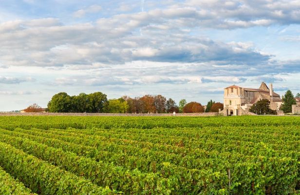 Bordeaux wine tour with chateau visit and tasting