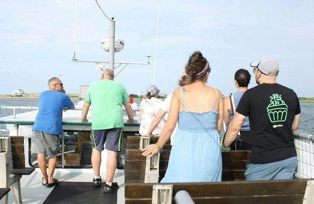 Plymouth lobstering eco cruise tour
