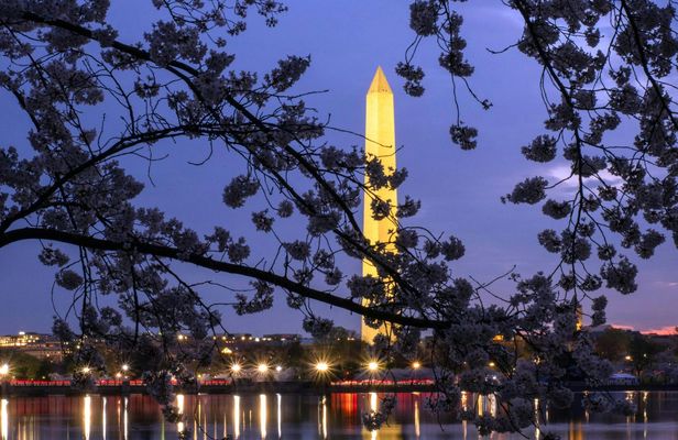 DC Monuments night tour with 10 stops and cherry blossoms