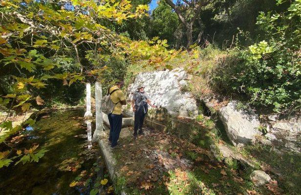 Hike on the trail of springs with olive museum visit in Lefkada