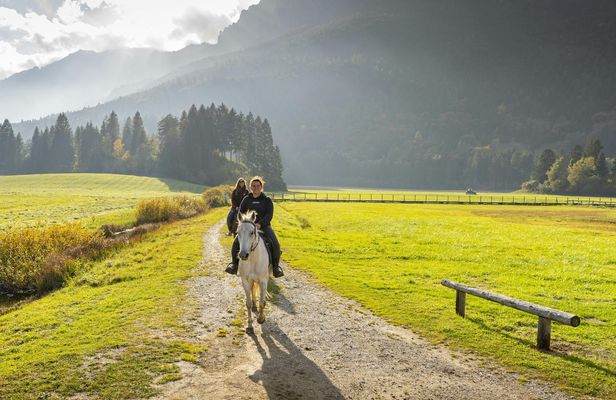Horse ride experience through the Brenta Dolomites