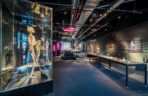 BODY WORLDS Berlin entrance tickets