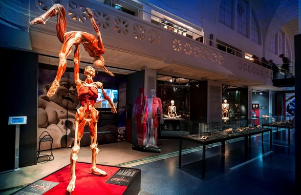 BODY WORLDS Heidelberg entrance tickets